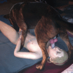 little sherry bestiality fuck with dog 3d porn video xxx